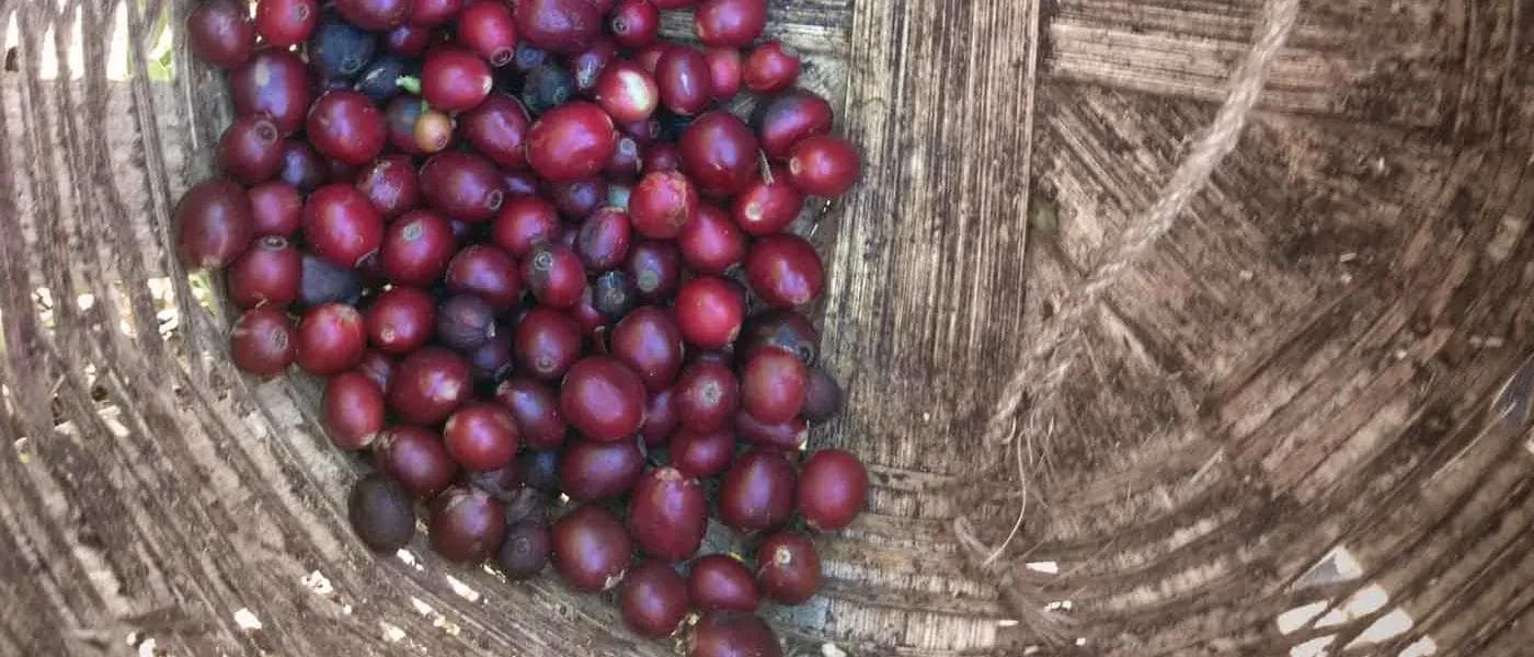 Image of El Salvador El Valle