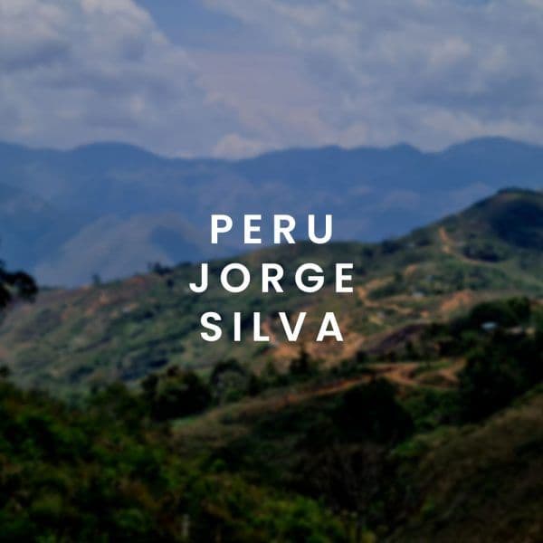 Image of Peru Jorge Silva