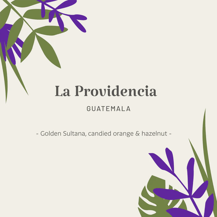Image of Guatemala | La Providencia
