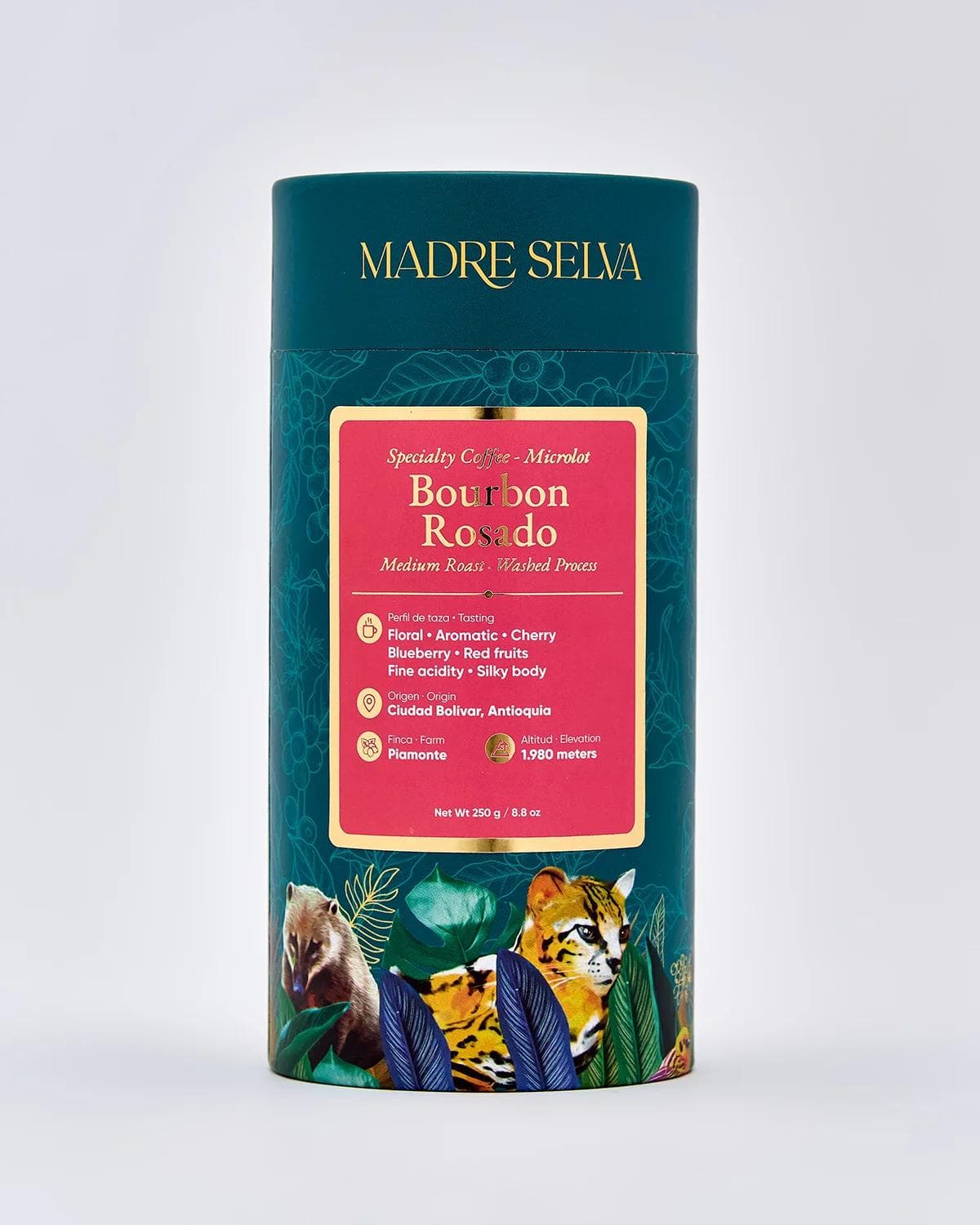 Image of Bourbon Rose