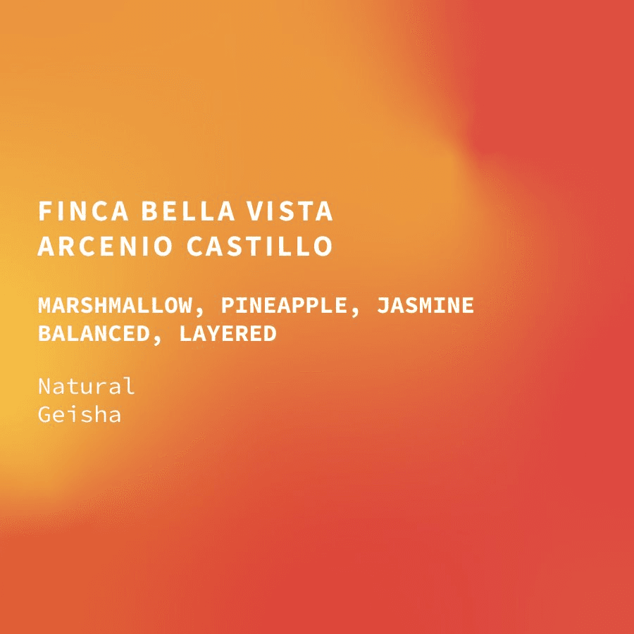 Image of Guatemala Bella Vista Cup of Excellence 16