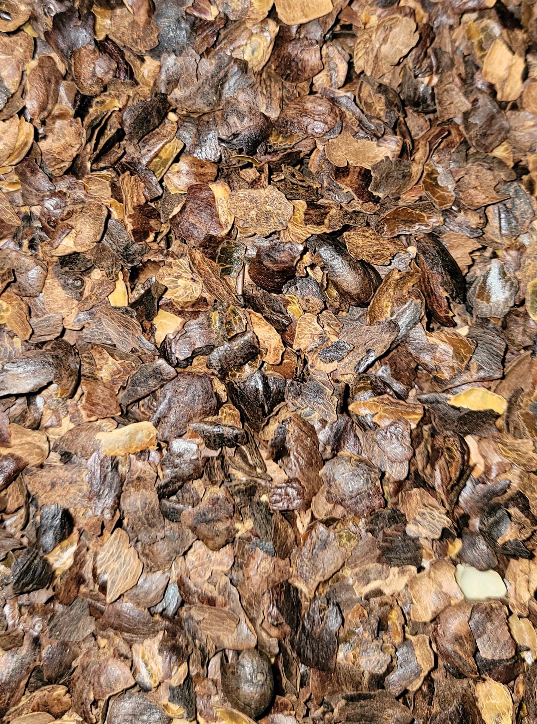 Image of Cascara coffee cherry Tea