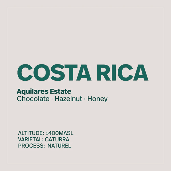 Image of Costa Rica - Aquilares Estate