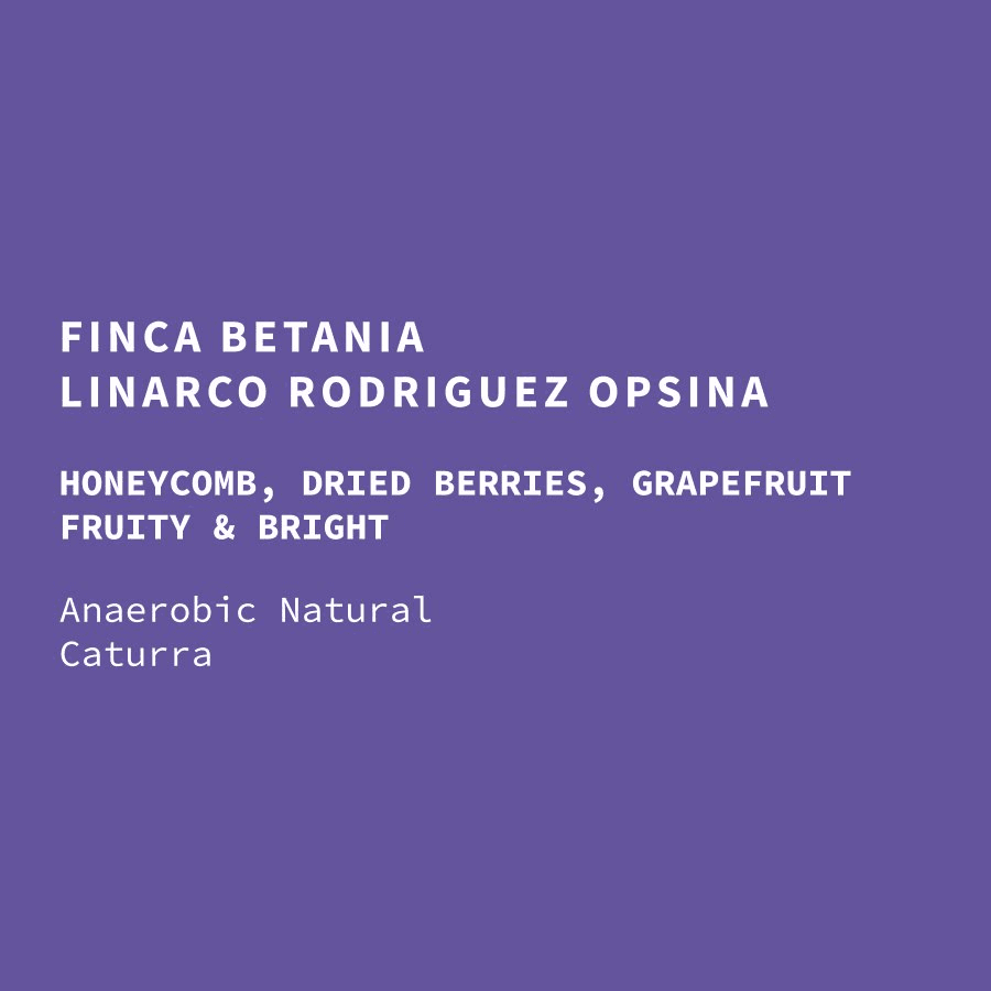 Image of Colombia Linarco Rodriguez