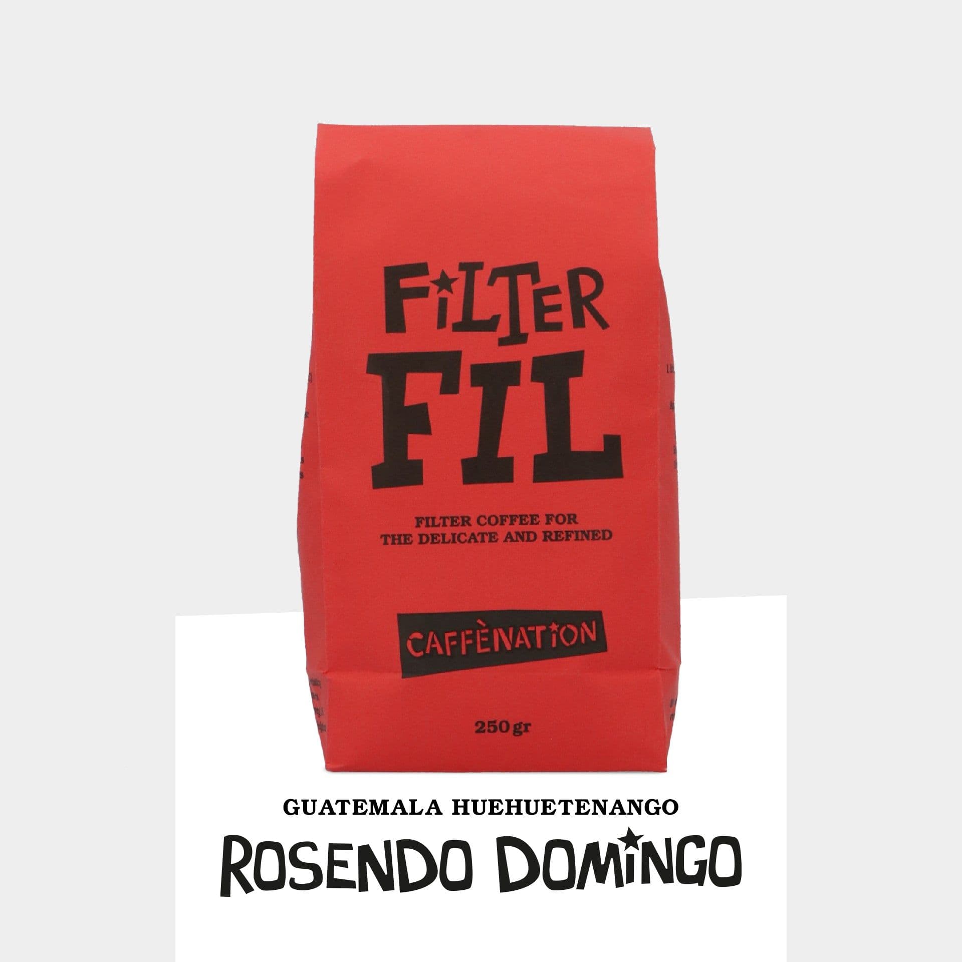 Image of Filter Guatemala Huehuetenango Rosendo Domingo