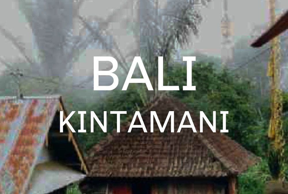 Image of BALI KINTAMANI