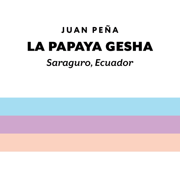 Image of Ecuador La Papaya Gesha