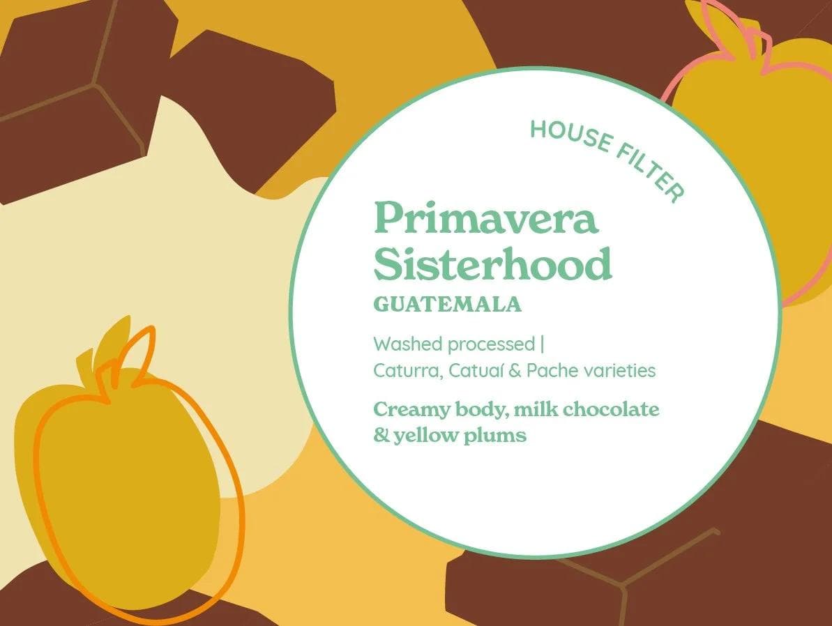 Image of House Filter Primavera Sisterhood Guatemala