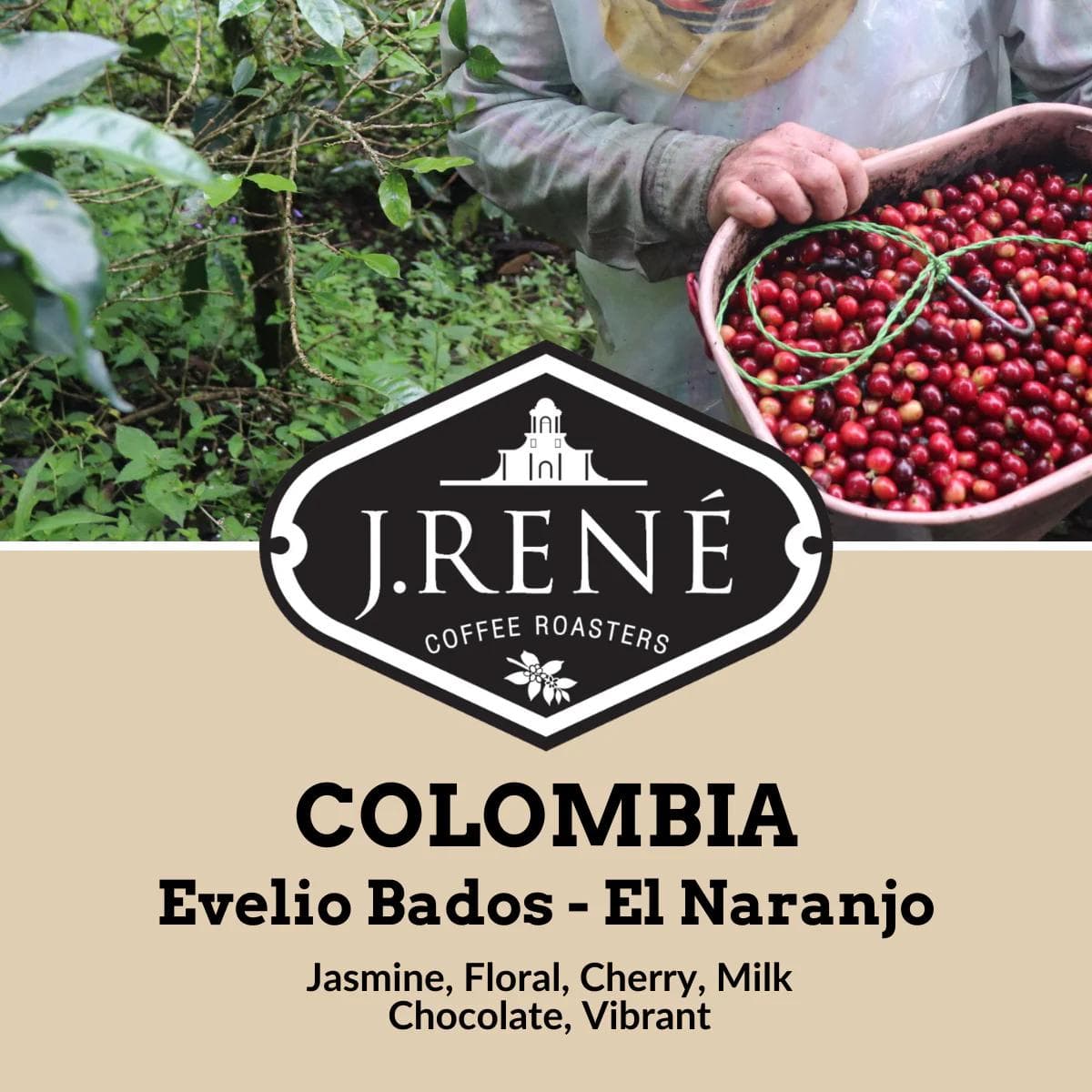 Image of Colombia Finca El Naranjo