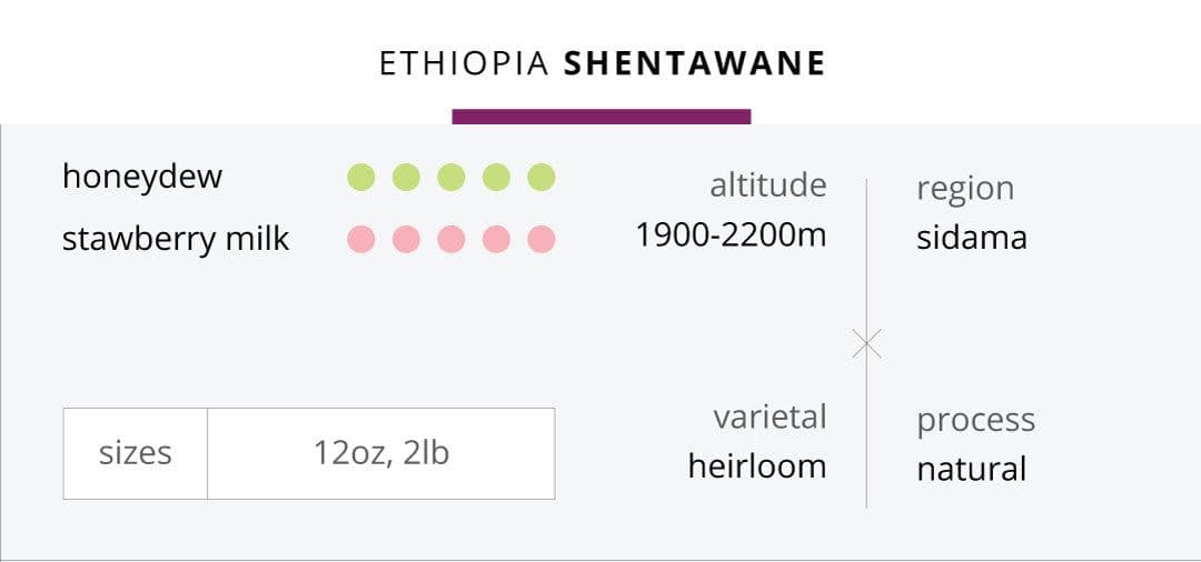 Image of Ethiopia Grade-1 Shentawane