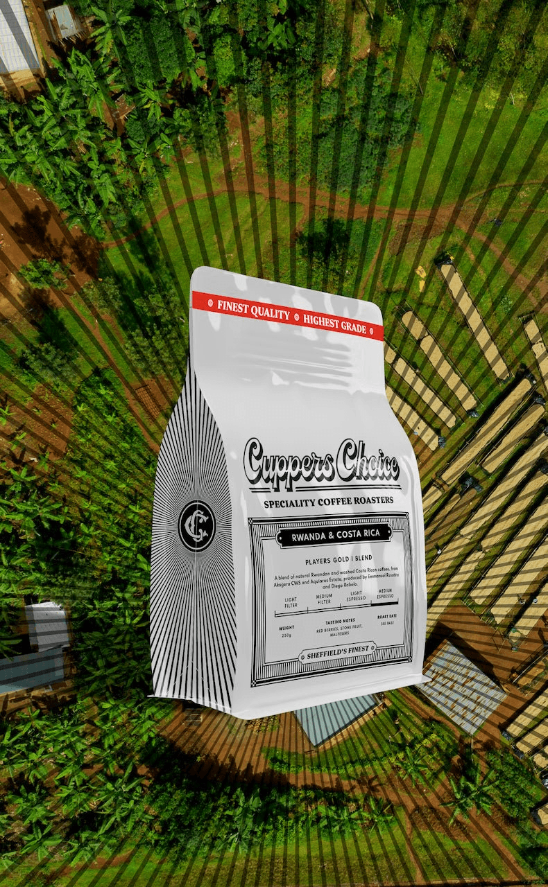 Image of Players Gold - Blend 