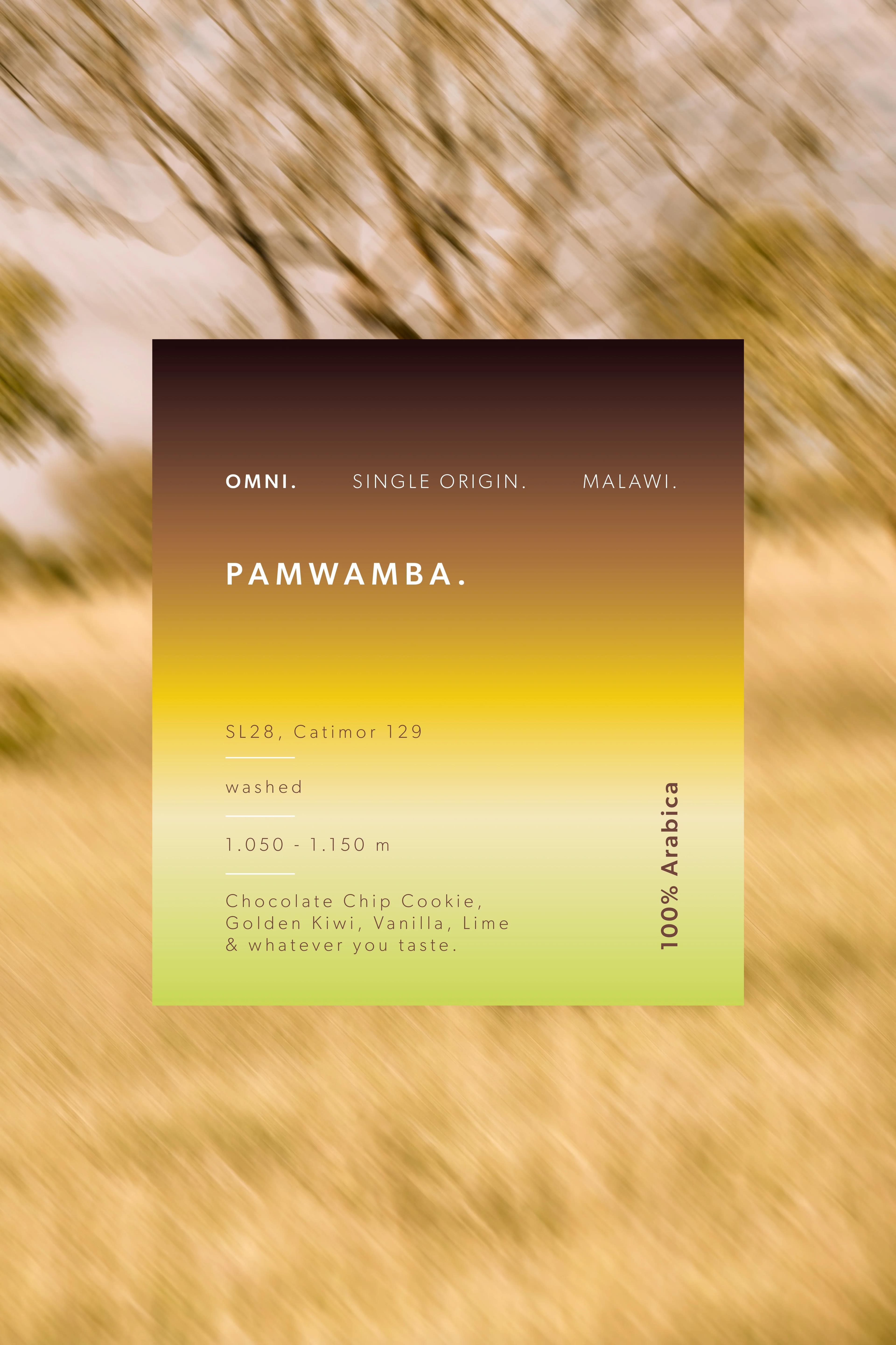 Image of Pamwamba - Omni