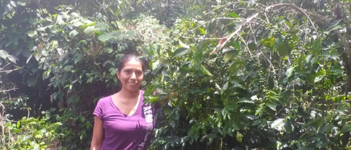 Image of Peru Marilyn Laucata Chicilla