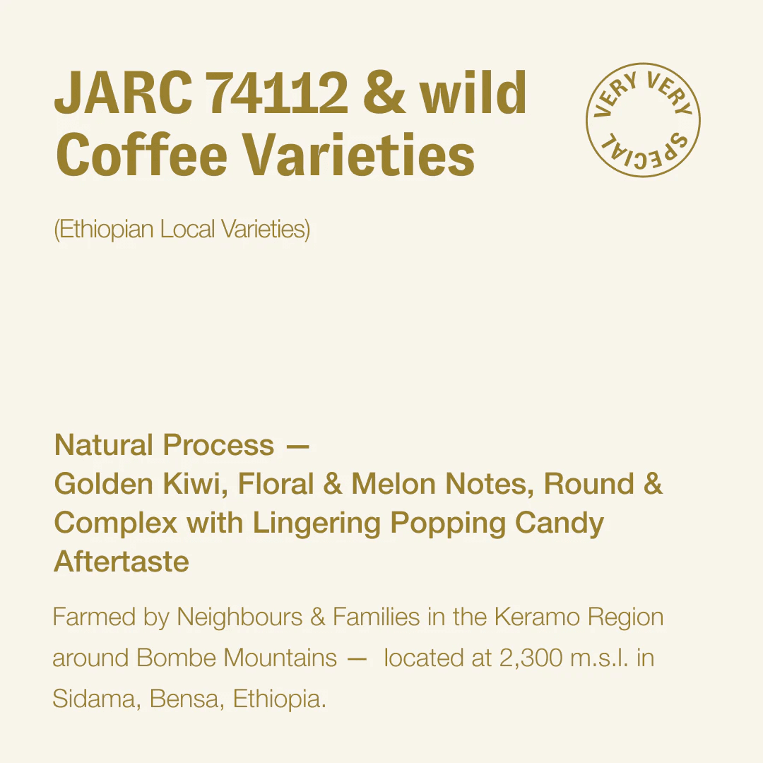Image of JARC 74112 and wild varieties
