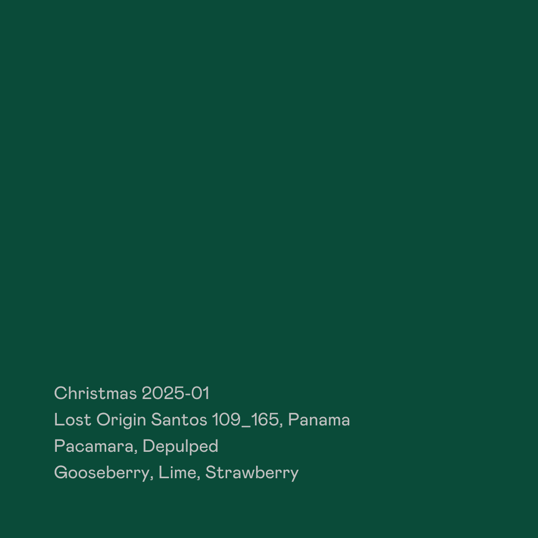 Image of Christmas 2025-01 Lost Origin Santos Pacamara Depulped
