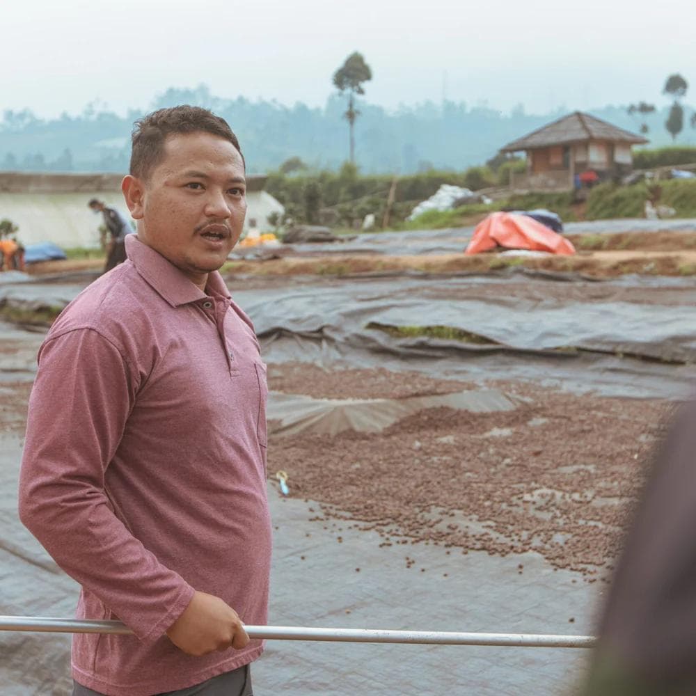 Image of Java - Frinsa Weninggalih - Yasmin Salsabila 