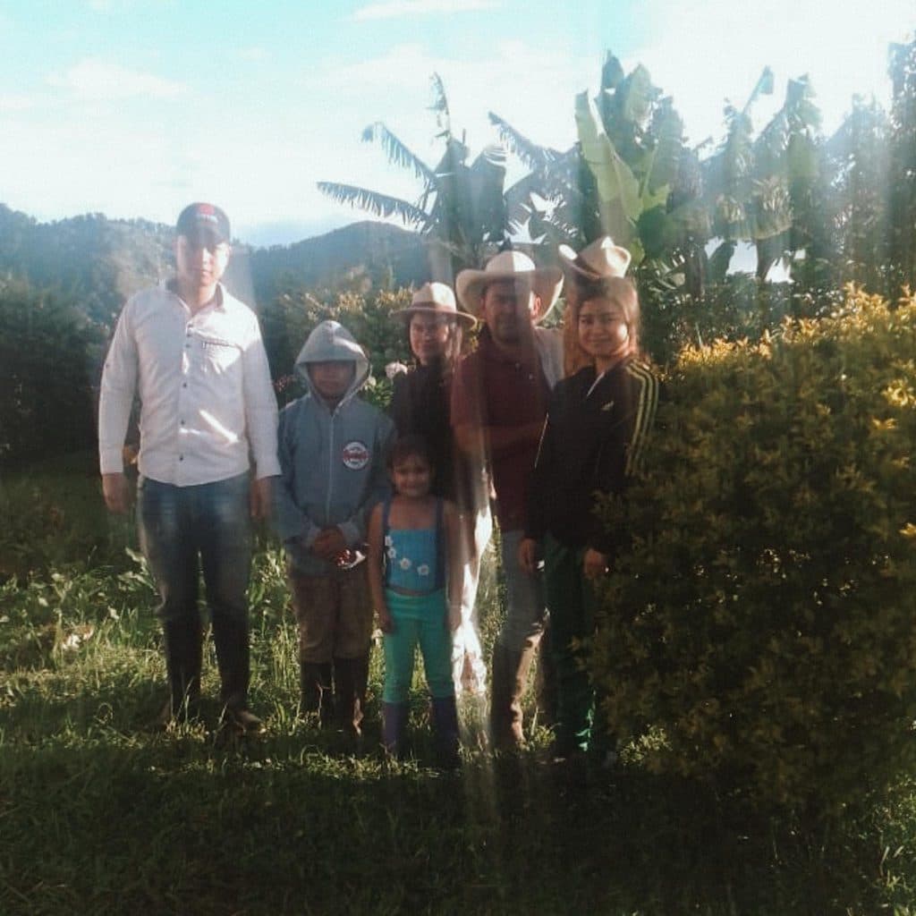 Image of San Bernardo Funk