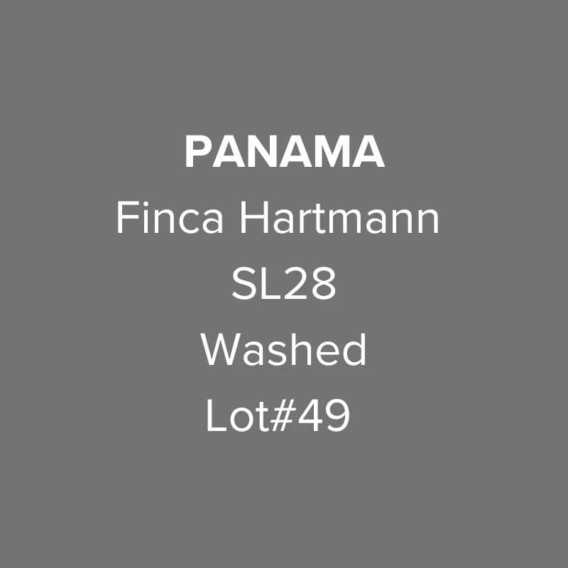 Image of Panama Finca Hartmann SL28 Washed Lot 49
