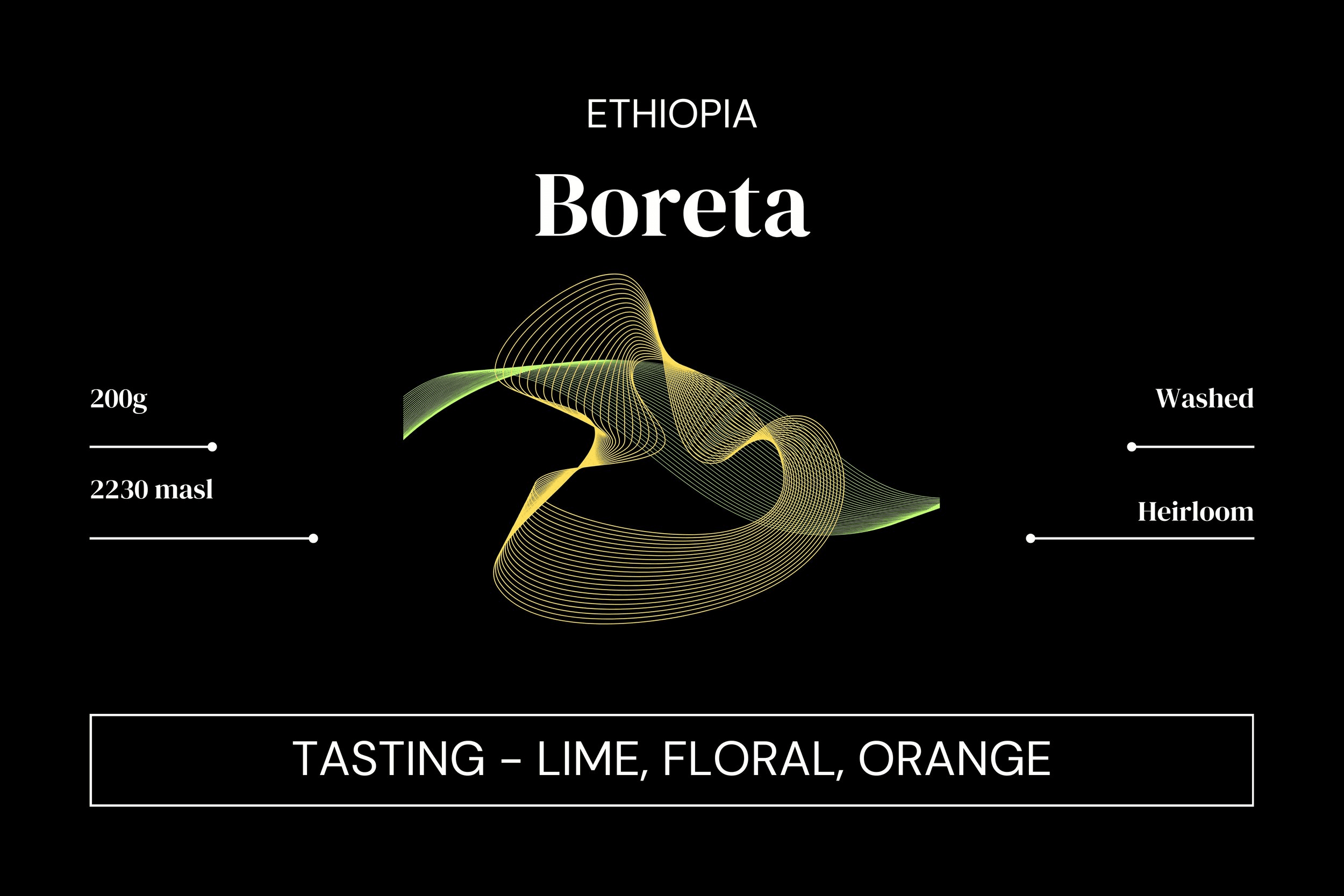 Image of Ethiopia - Daye Bensa -Washed