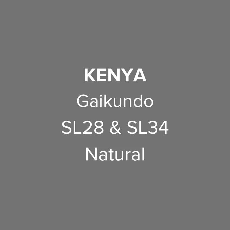 Image of Kenya Nyeri Gaikundo SL28 SL34 Natural