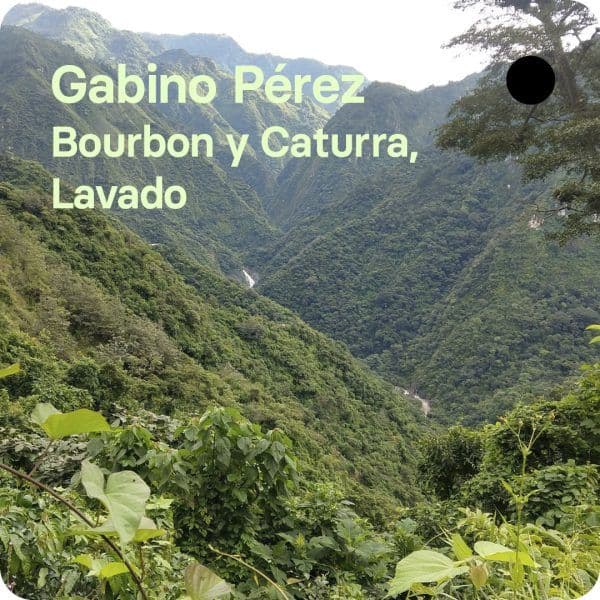 Image of Gabino Perez - Mexico