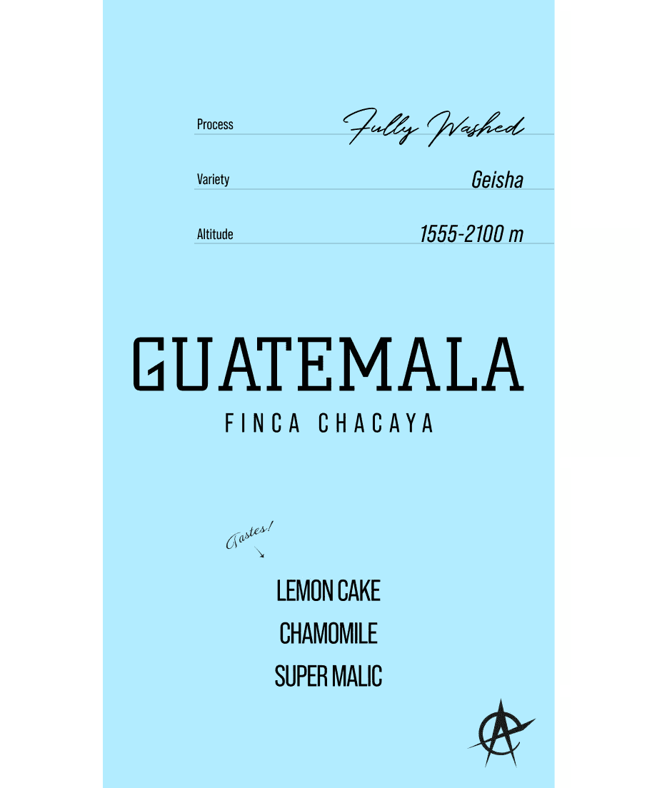 Image of Guatemala Finca Chacaya Geisha - Fully Washed