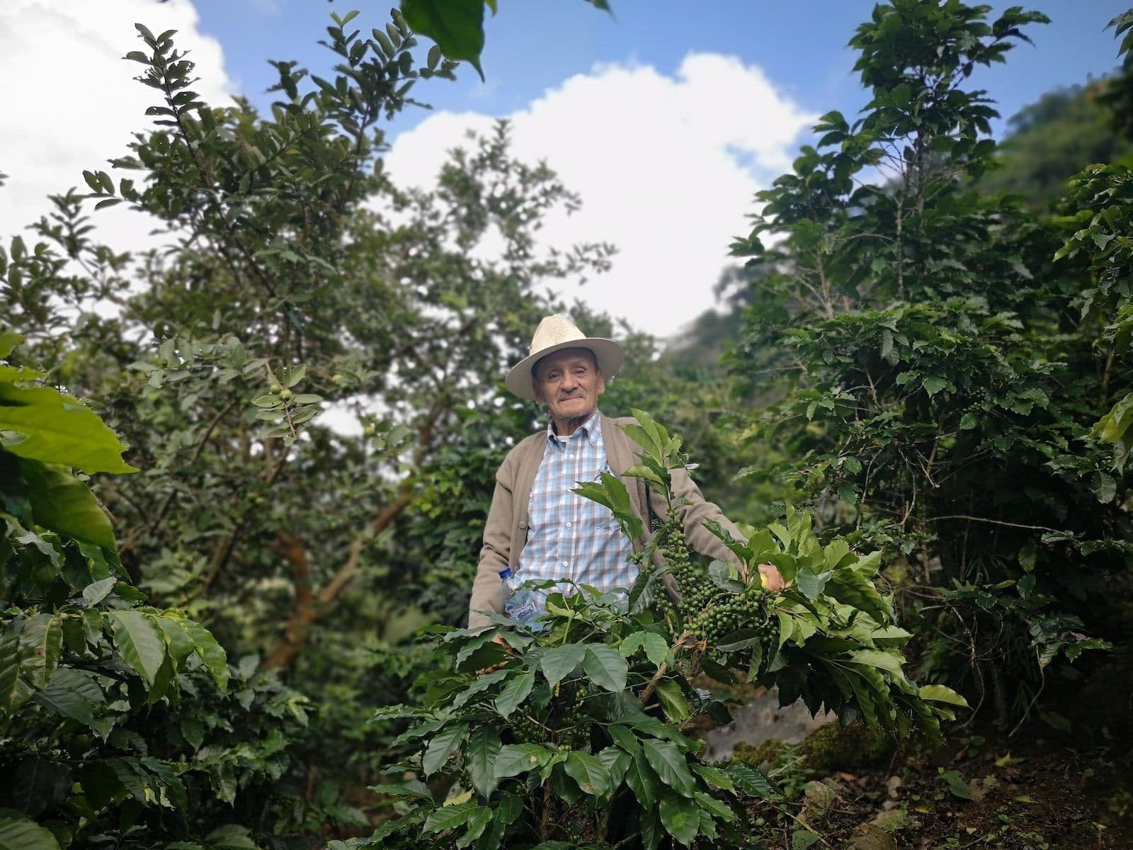 Image of Guatemala Francisco Martínez Finca El Regalo