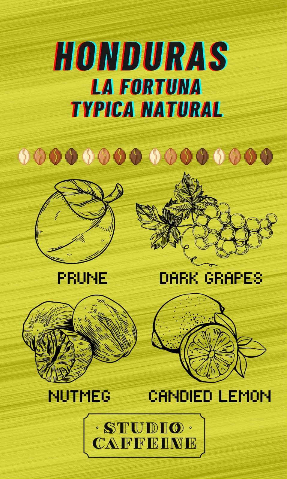 Image of Honduras La Fortuna Typica Natural