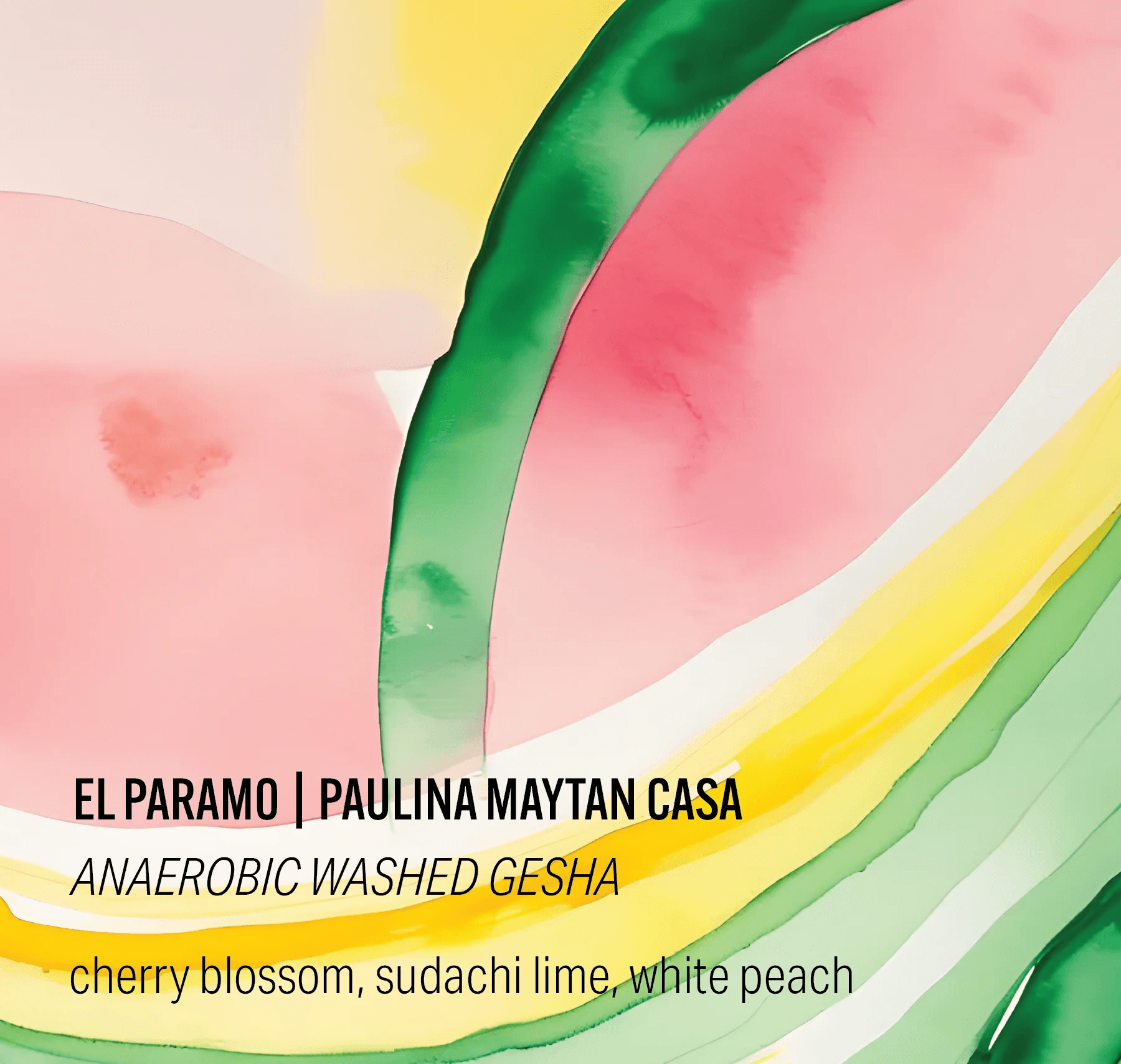 Image of Paulina Maytan Casa Inkawasi 6 - Anaerobic Washed Gesha - Finca El Paramo - Peru