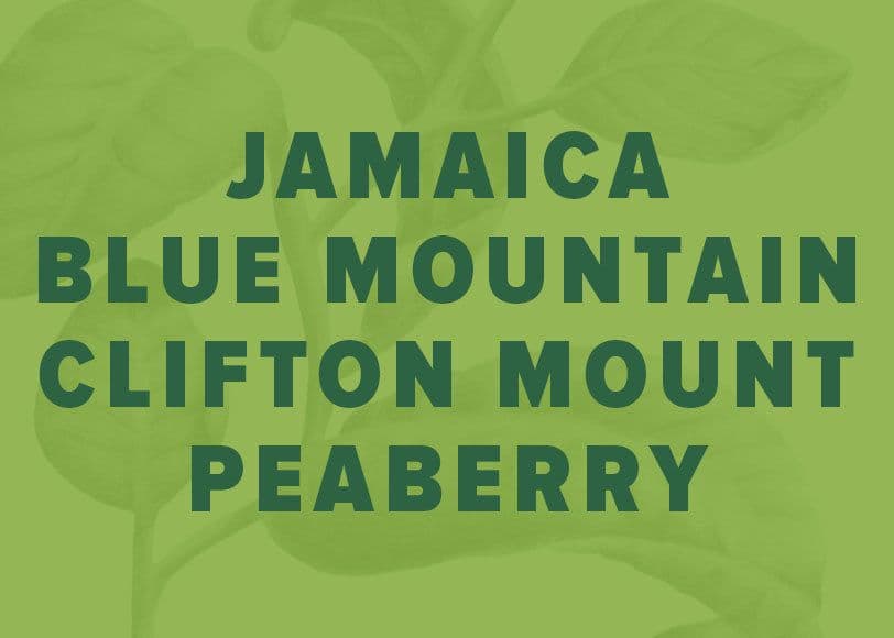 Image of Jamaica Blue Mountain Clifton Mount Peaberry