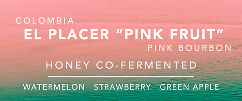 Image of Colombia El Placer Pink Fruit- Honey Co Fermented