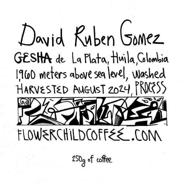 Image of David Ruben Gomez