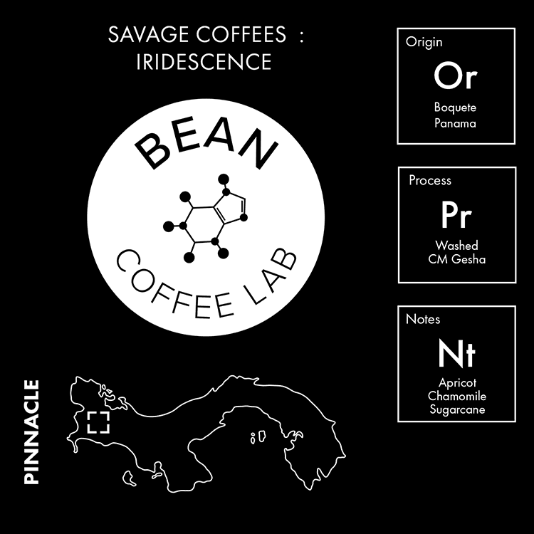 Image of Savage Coffees – Iridescence