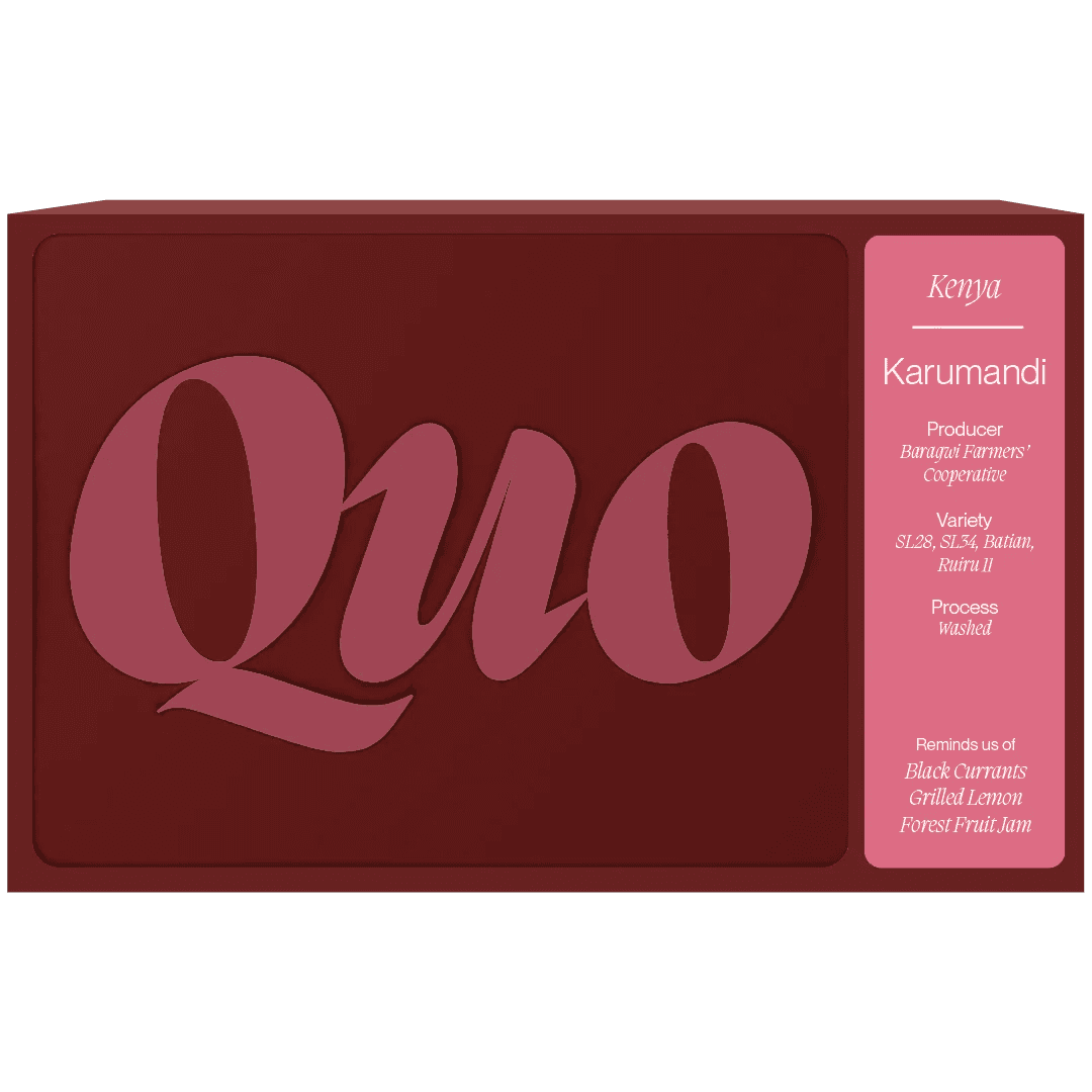 Image of Kenya Karumandi AA