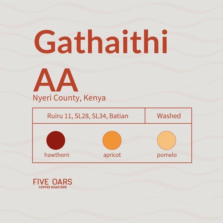 Image of Gathaithi AA