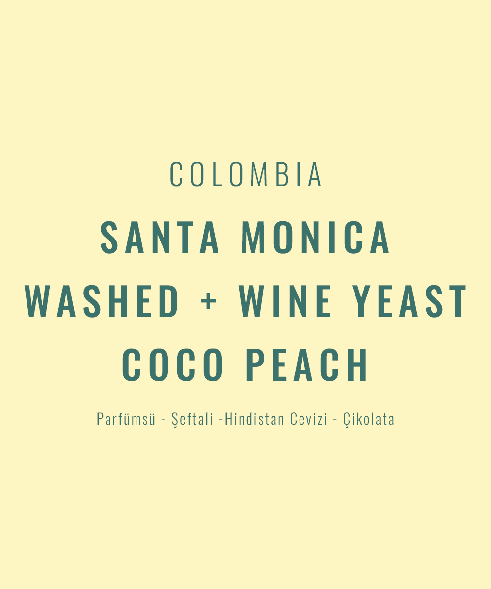Image of Colombia - Santa Monica Washed Wine Yeast Coco Peach