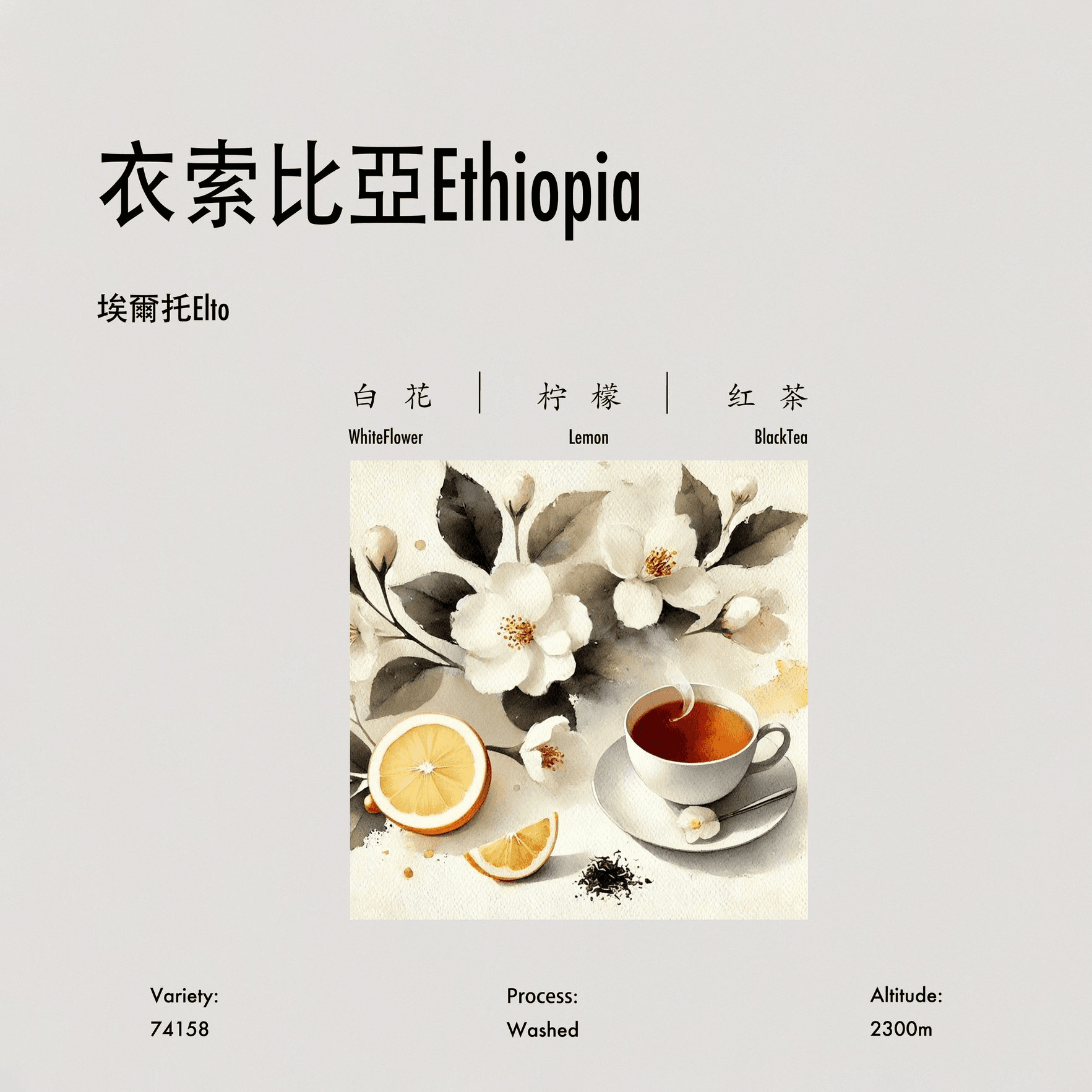 Image of Elto Washed 2025