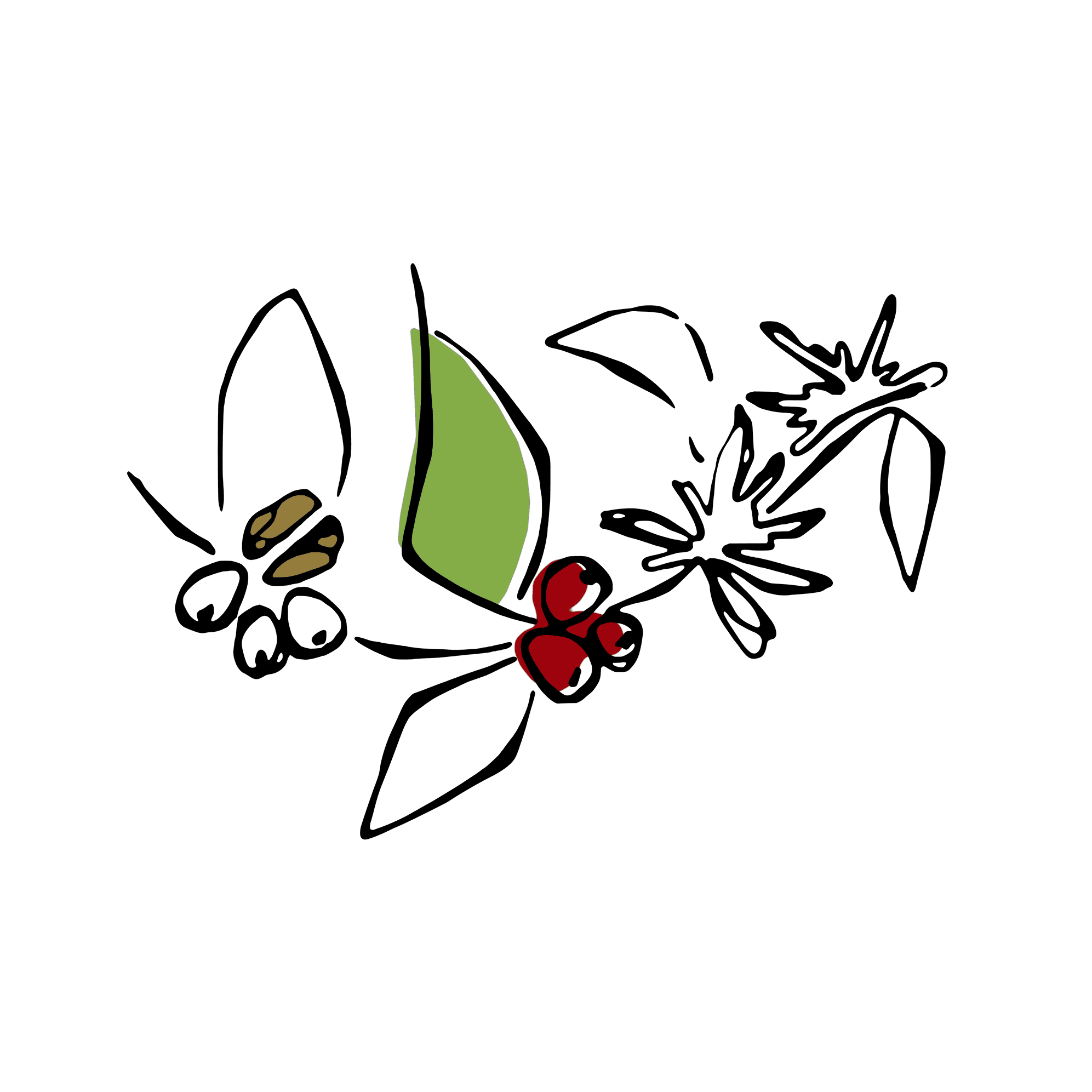 Image of Pierre Cafe