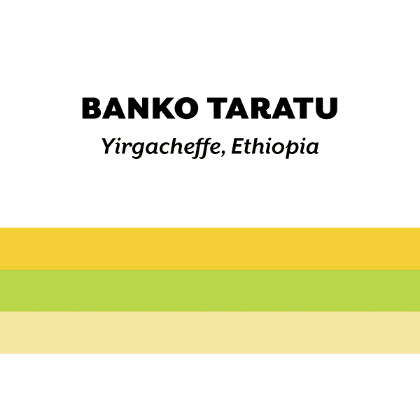 Image of Ethiopia Banko Taratu