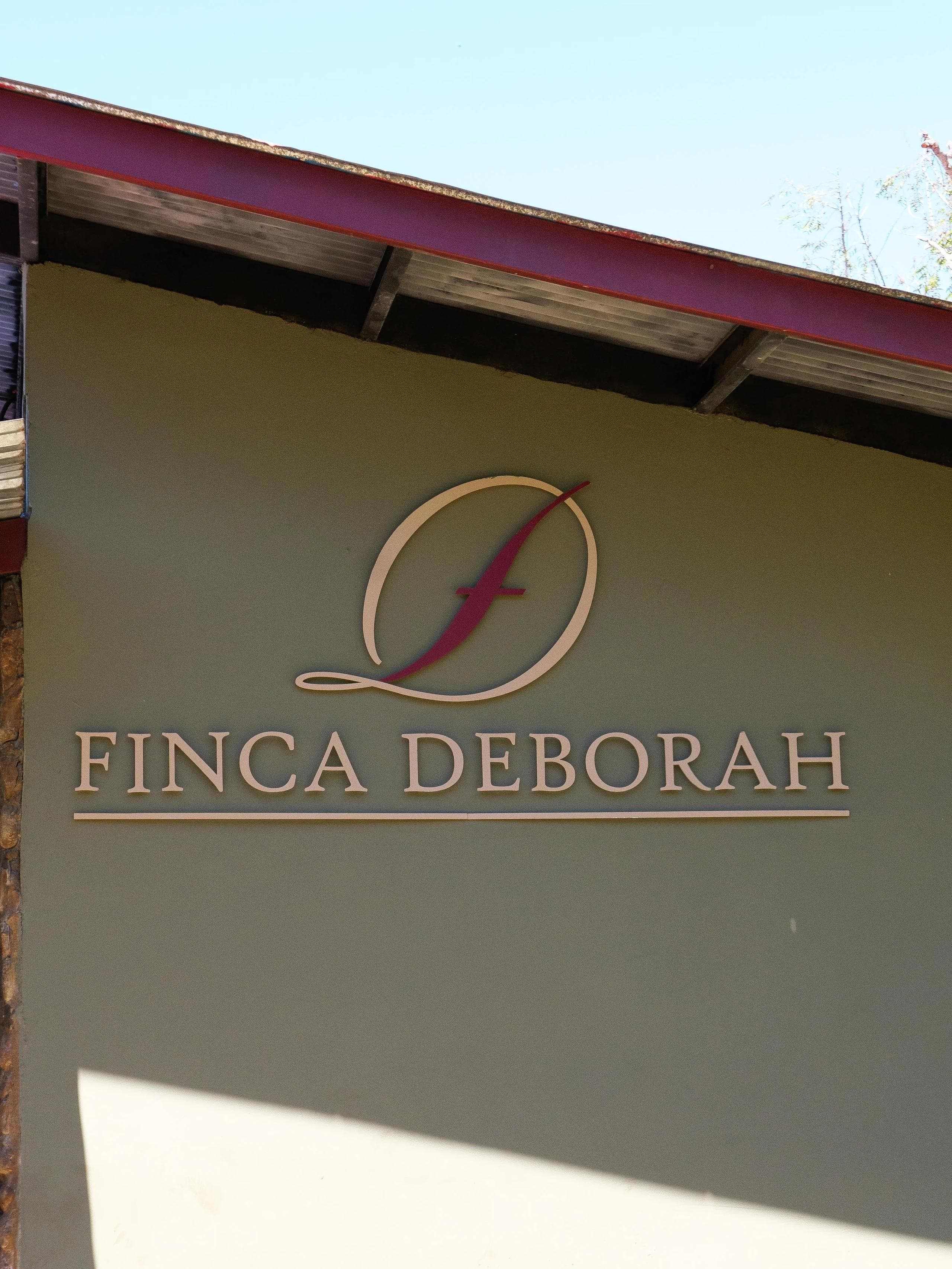 Image of Finca Deborah Vivid Geisha Carbonic Maceration Hybrid
