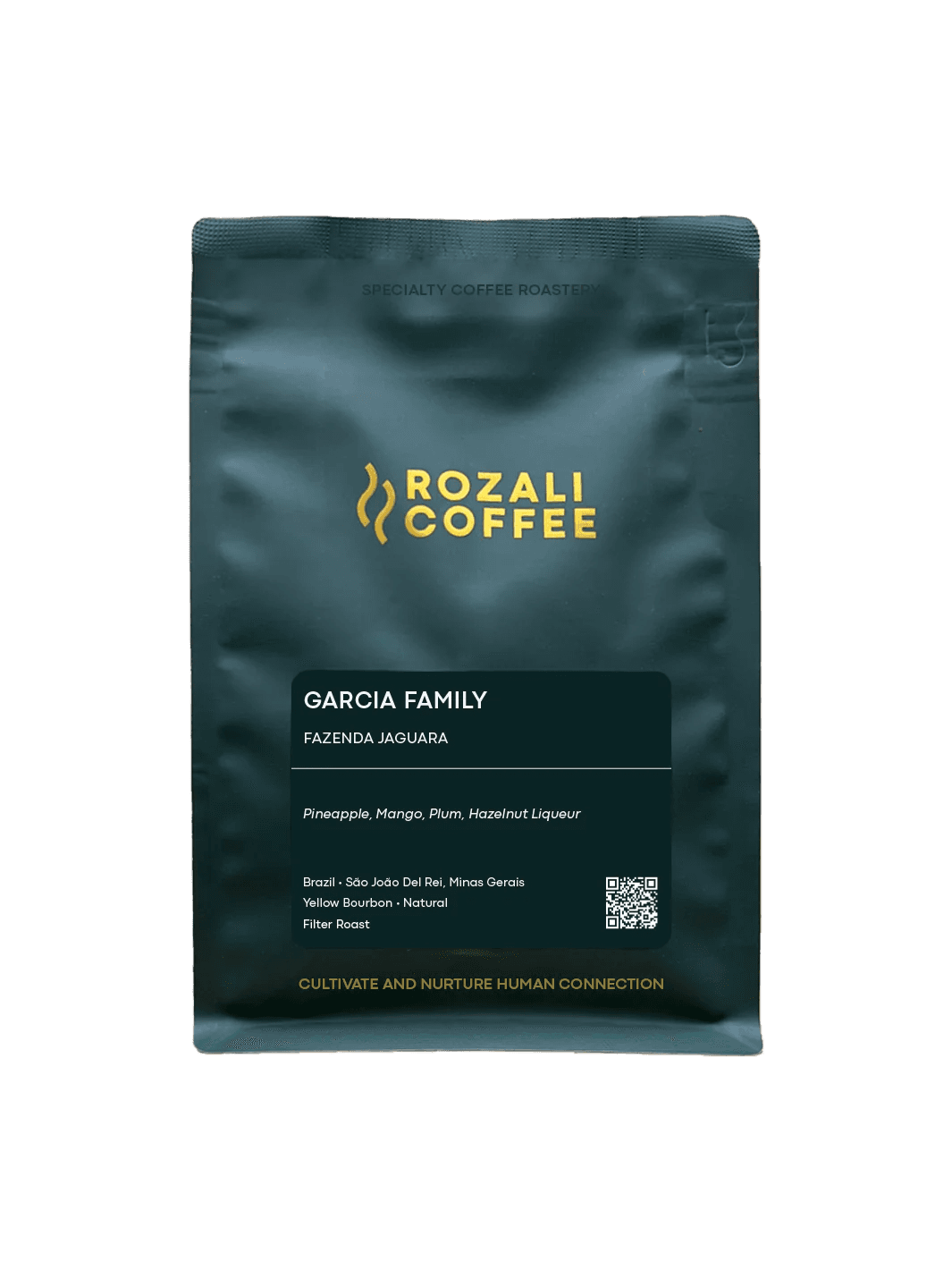 Image of Brazil Garcia Family