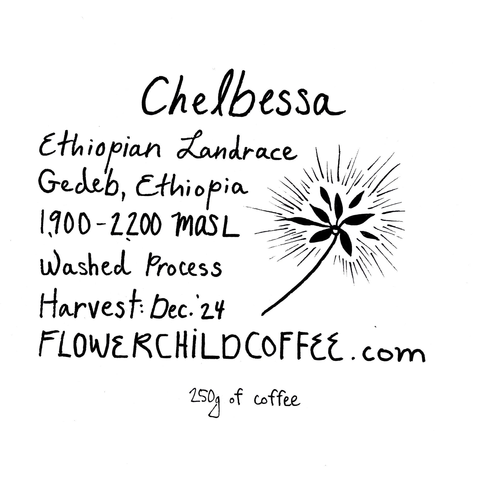 Image of Chelbessa