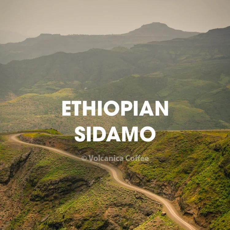 Image of Ethiopia Sidamo Coffee