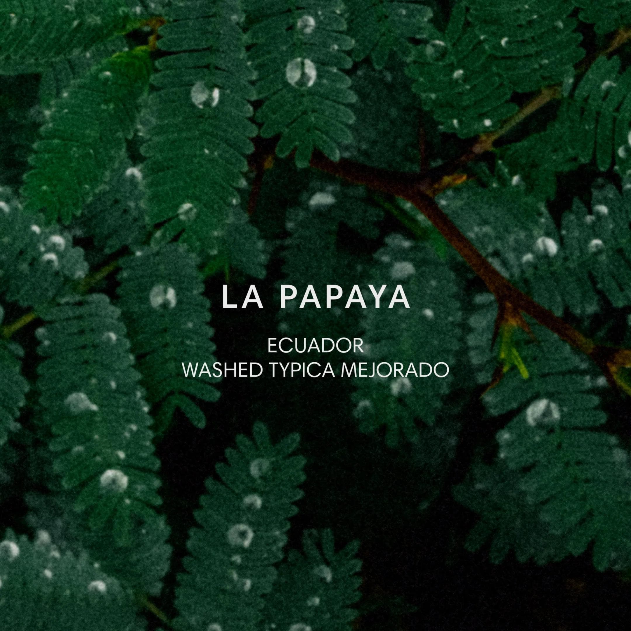 Image of La Papaya
