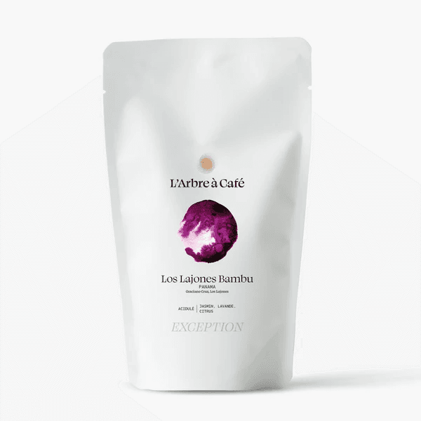 Image of Lajones Bambu Panama