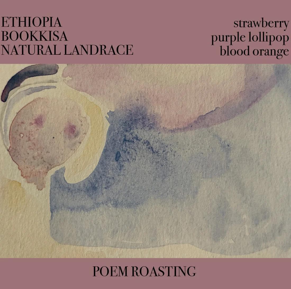 Image of Ethiopia Bookkisa Natural Landrace