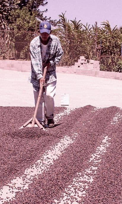 Image of Banyai Cascara