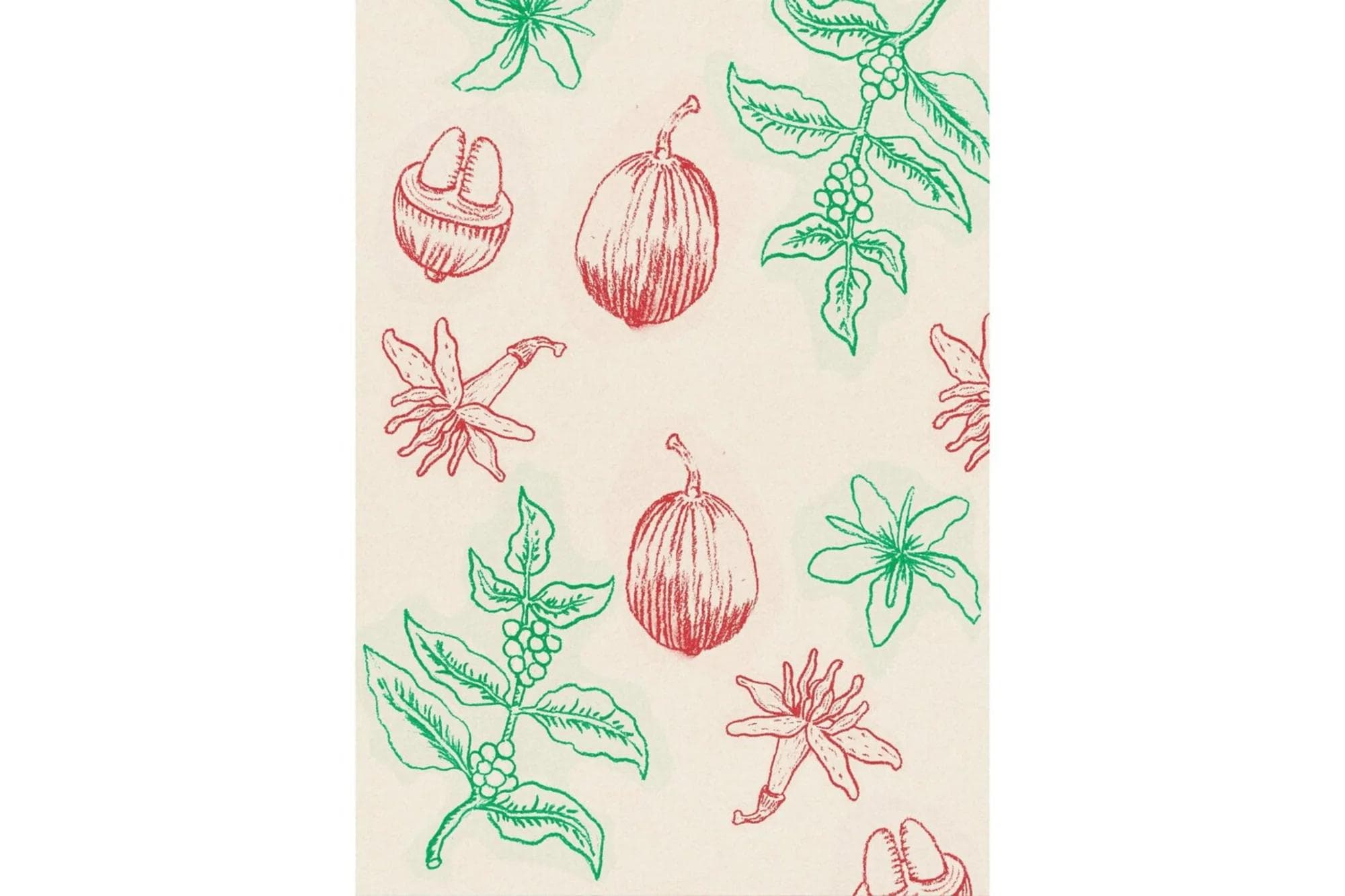 Image of Pepe Jijon TyOxy Ecuador