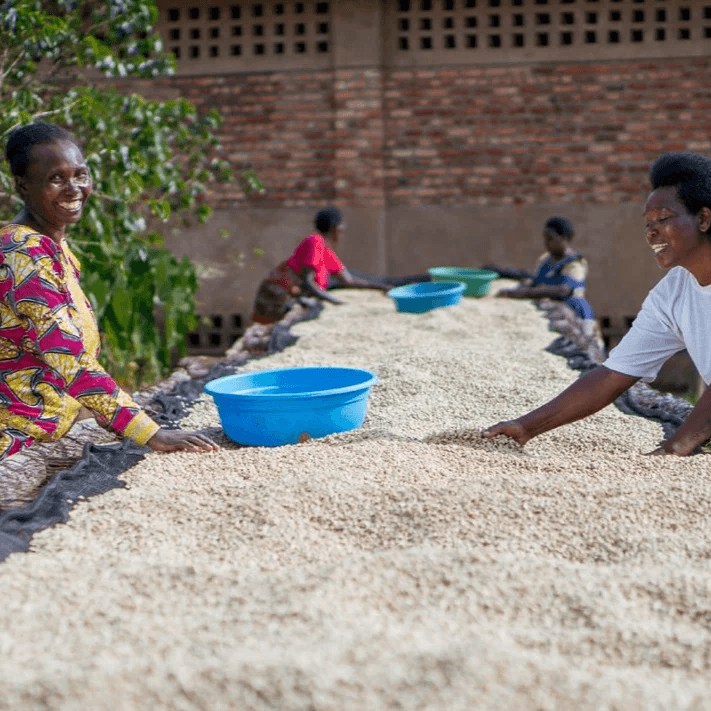 Image of A Taste of Rwanda Auction Lot 5B FW - CBC Gakenke