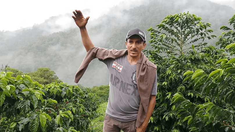 Image of Norbey Quimbayo Caturra